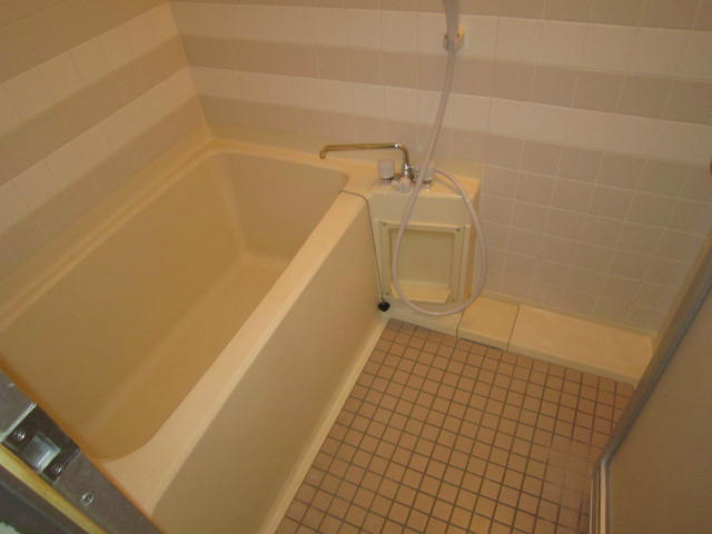 マルベリー平塚 風呂画像