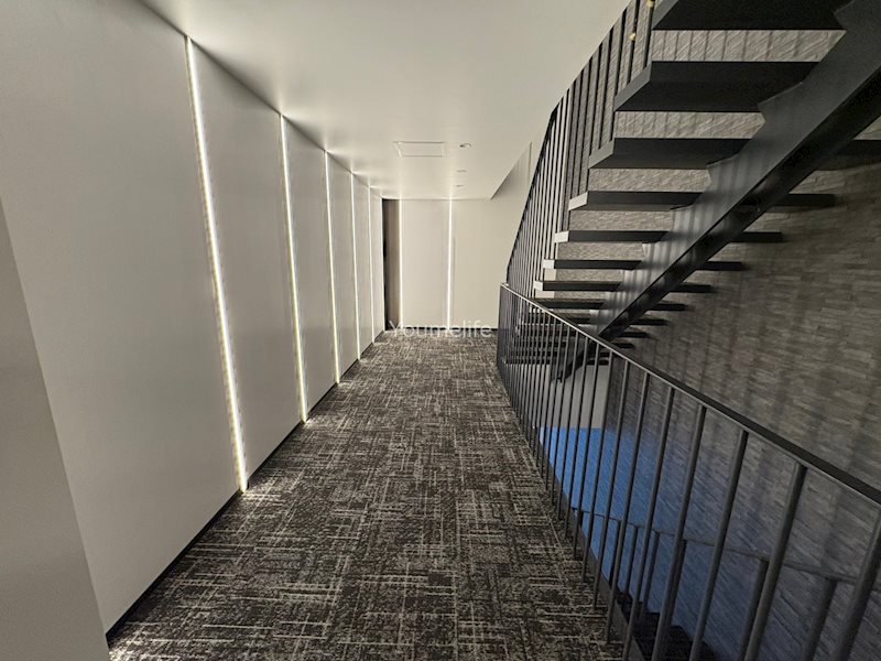 TERRACE　WELLNESSⅡ その他外観1