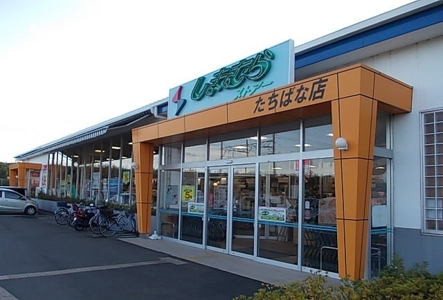 ＰＡＲＫ　ＳＩＤＥ　ＭＫ その他外観4