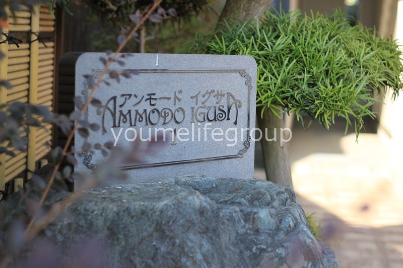 アンモードイグサ1 その他外観1