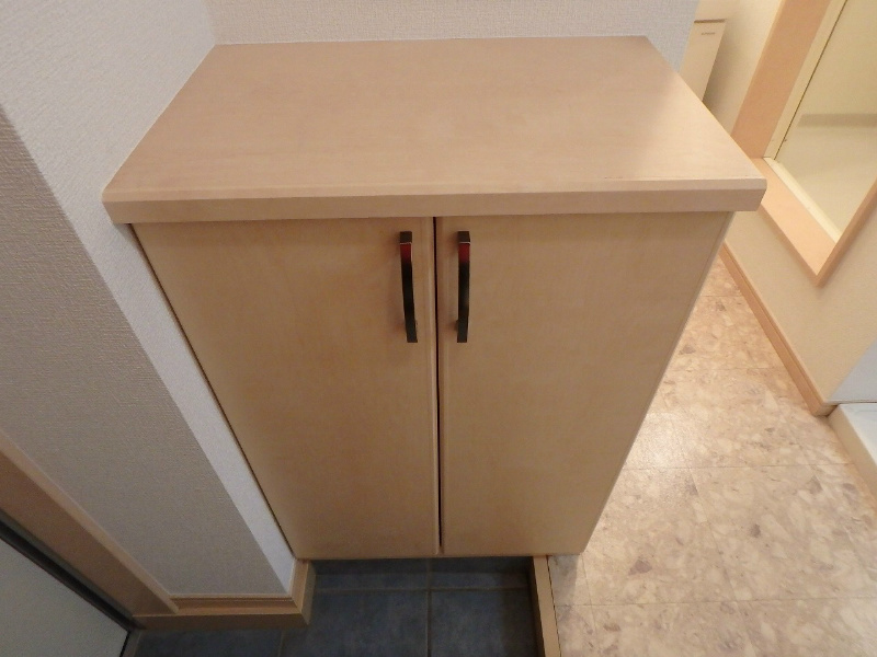 アンモードイグサ1 玄関