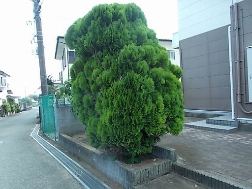 レオパレス泉Ⅱ その他1