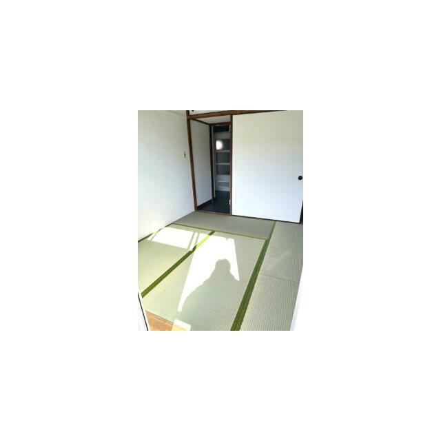 その他29