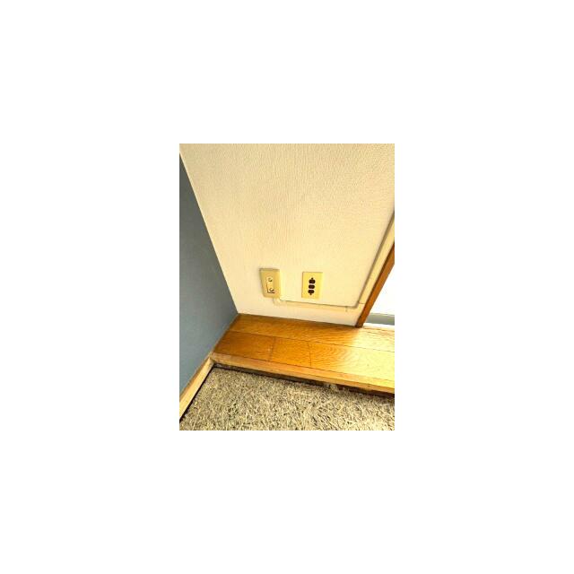その他31