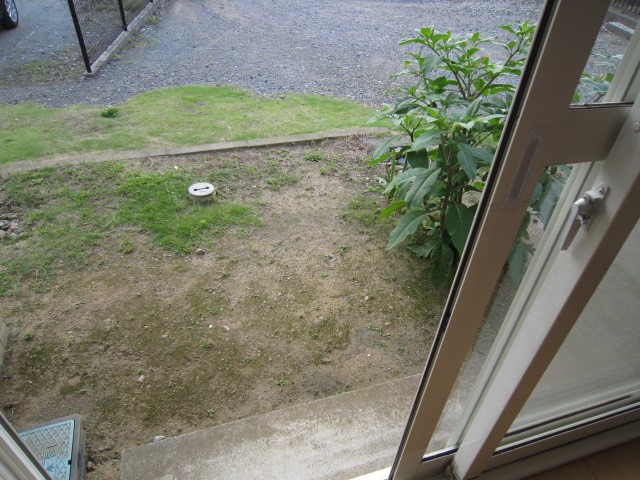 TYハウス その他外観1