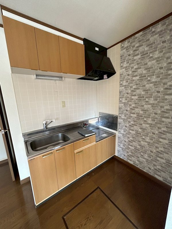 DUPLEX  その他10