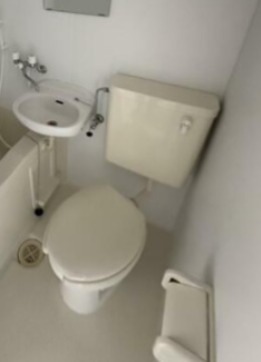 ＶＩＦ藤沢 その他3