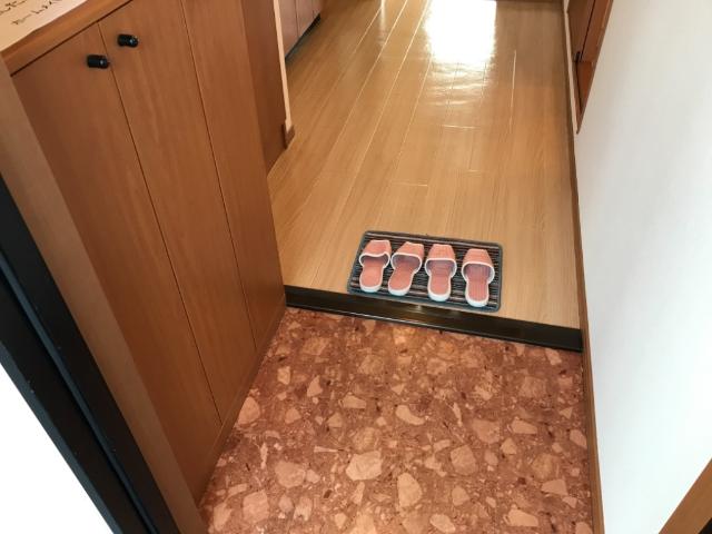 エクレセンス富士見 玄関