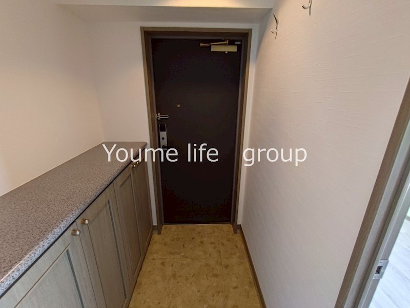 ヴィサージュ湘南平塚 玄関