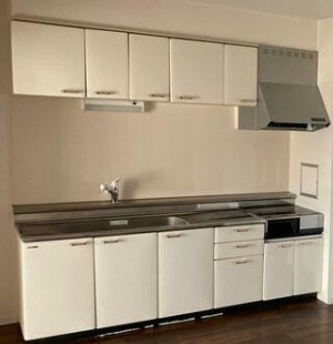 Ｌａ　Ｓｏｌａｎａ キッチン