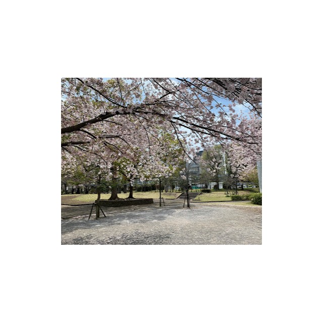 ラベンダー湘南Ⅱ 周辺画像8