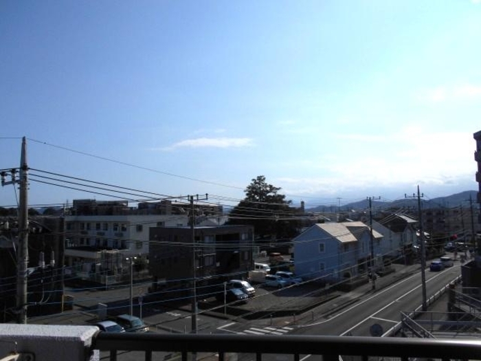 ハイドランジア その他6
