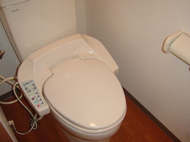 プレサスＳⅡ その他1