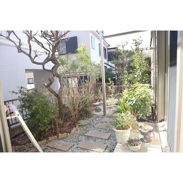 茅ヶ崎市浜竹３丁目戸建１Ｆ その他1