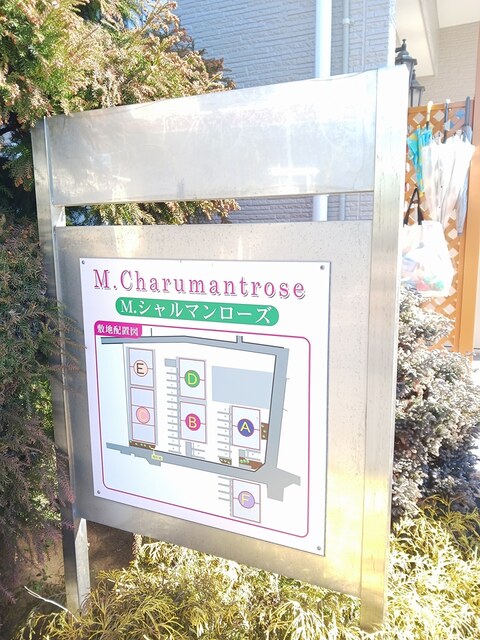 Ｍ・シャルマンローズＥ その他4