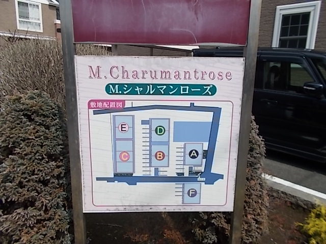 Ｍ・シャルマンローズＡ その他1