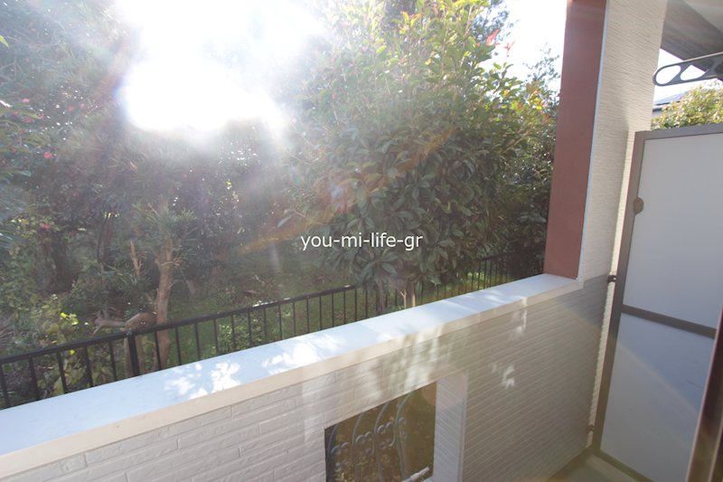 エトピリカ湘南 その他5