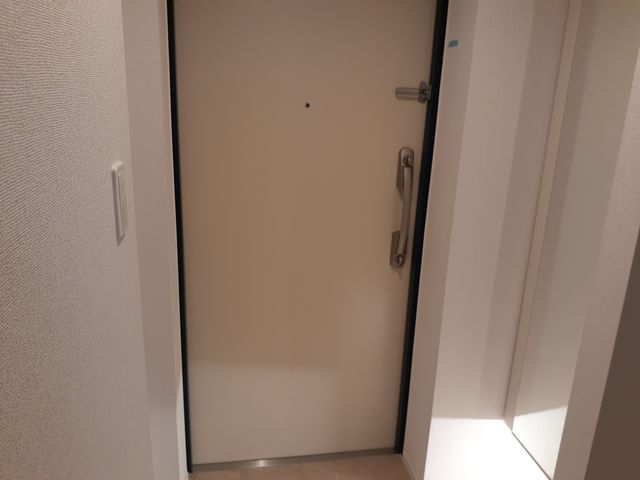 ルミソラーレ 玄関