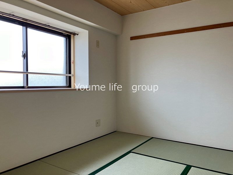 デネブ・スワン その他3