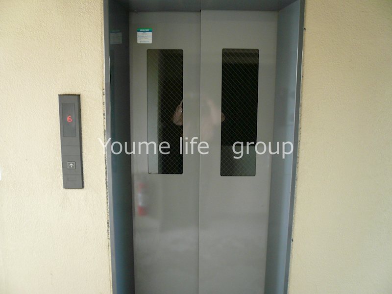 デネブ・スワン その他4