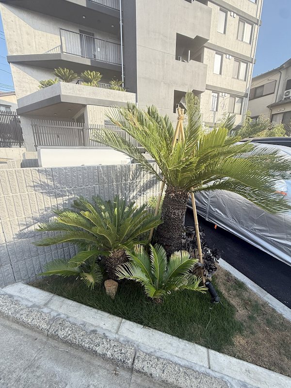 ソテツノイエ その他外観1