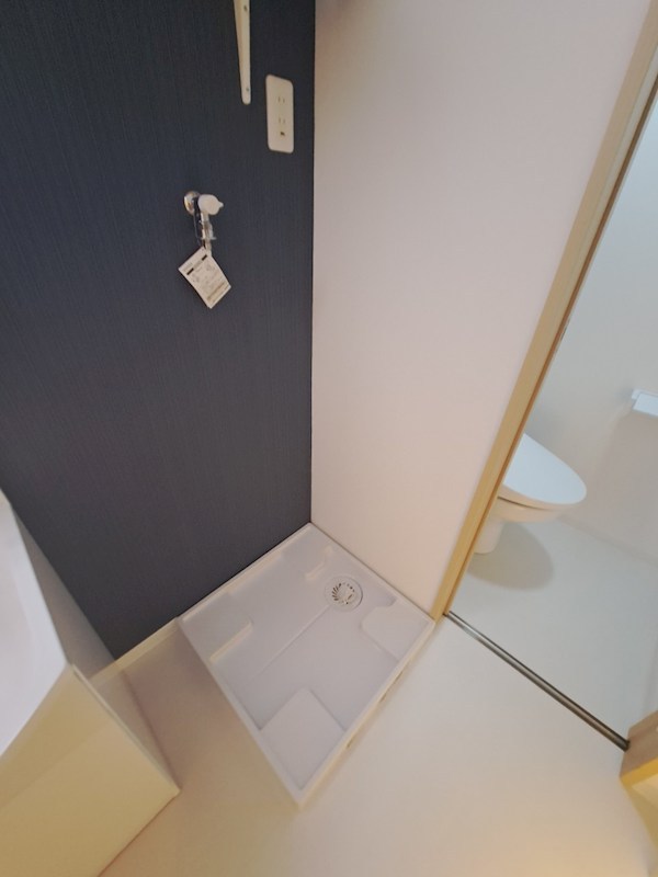 ルピナス その他5