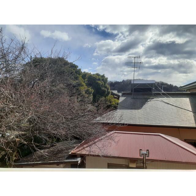 ドミトリー石橋 その他6
