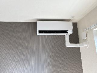 リヴィエール桜 その他5