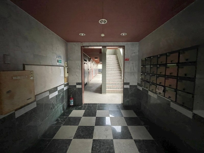 フィールド・ムーン その他外観1