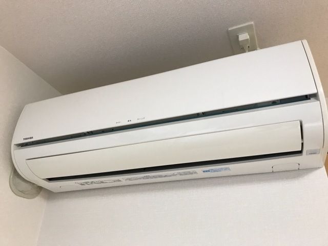 グリーンリーフ その他5