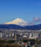 マークハウス 周辺画像2