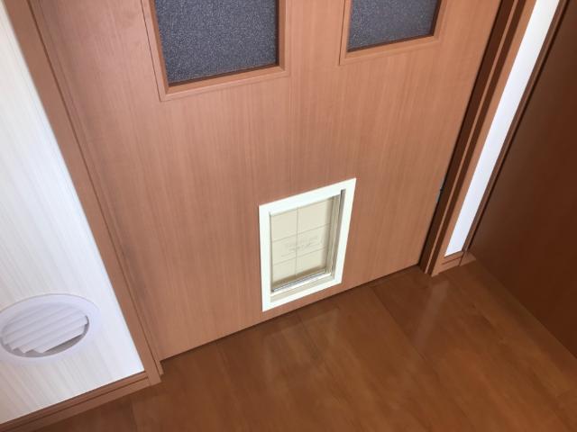 スピッツ その他13