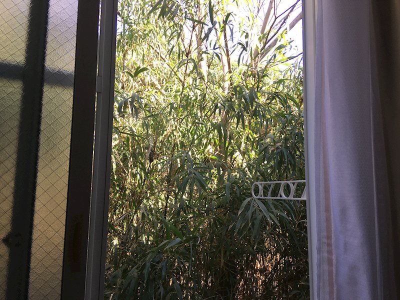 レオパレスデニム その他8