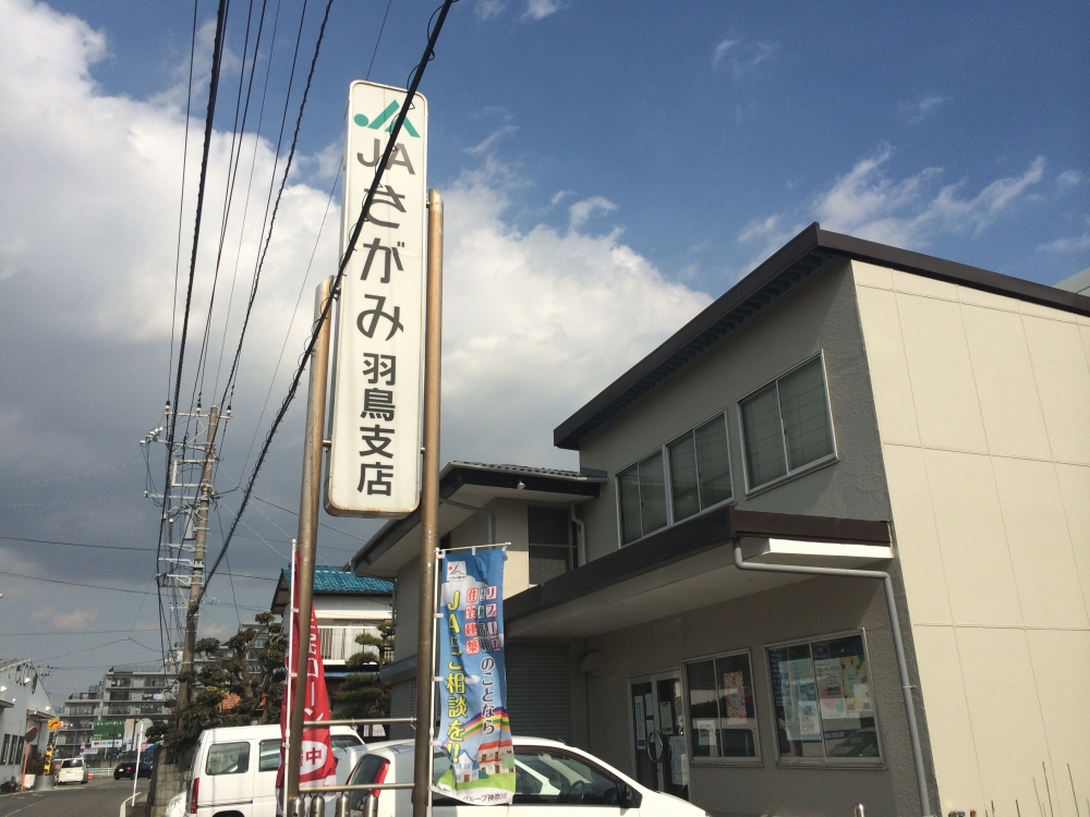 トルトゥーガ 周辺画像5