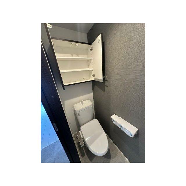 Ｌａｐｅｌ　Ｍｅｌｉａ　Ⅲ その他18