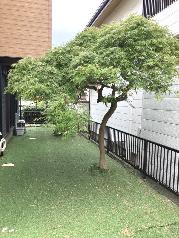 飯山南戸建 その他外観3