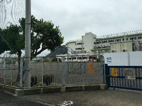 平塚市立山下小学校 コーポタカミネ  周辺画像5