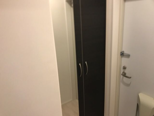 向日葵 その他15