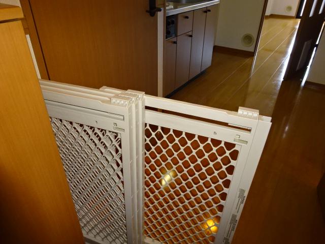 スピッツ その他7
