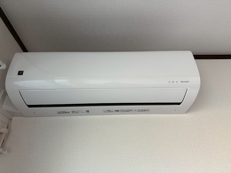 Ｍｅｒｖｅｉｌｌ　Ⅱ その他2