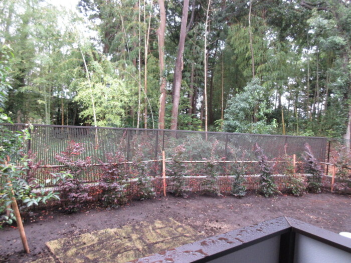 蒼の杜　空 その他5