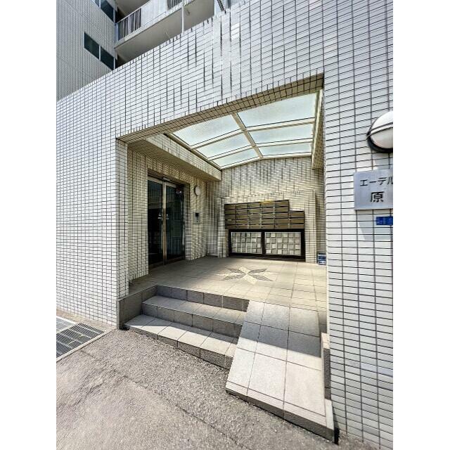 エーデルハイム原宿 その他11