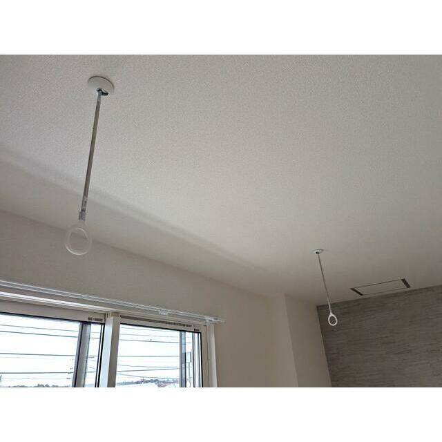 ｗｉｓｔｅｒｉａ その他11