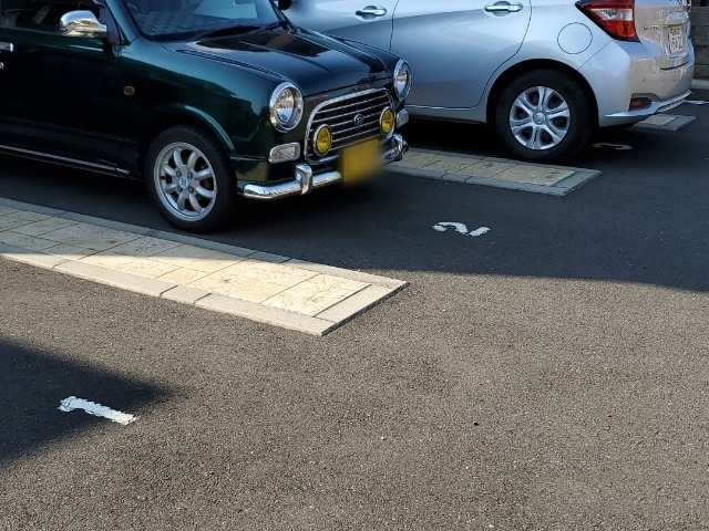 レオネクストサルビア その他8