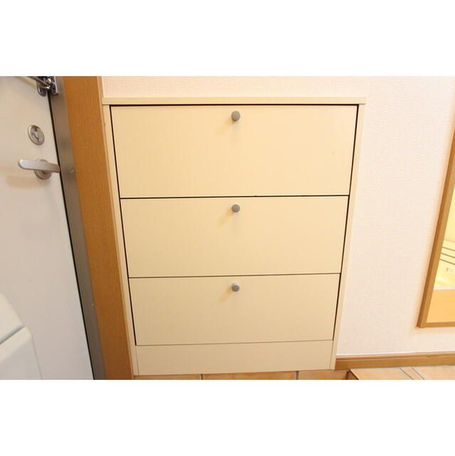 ピュア湘南 その他2