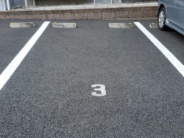 レオネクスト輝 その他2