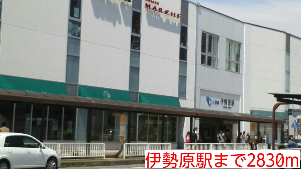 ダンデライオン その他外観6