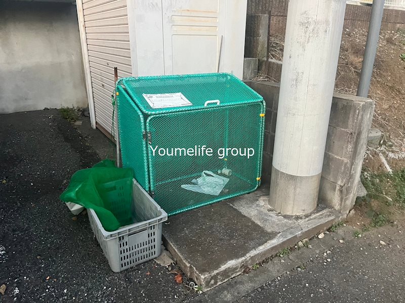 クレア大清水B その他19