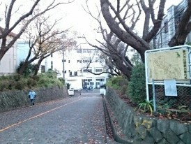 Ａｉｍ　Ｖｉｌｌａｇｅ　湘南 その他外観3