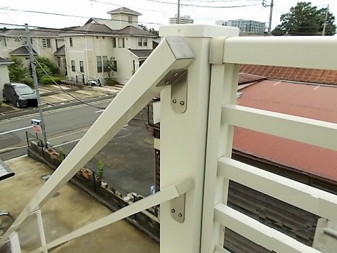 レオネクストペレグリン その他11